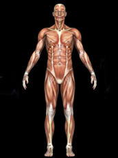 golf massage therapy